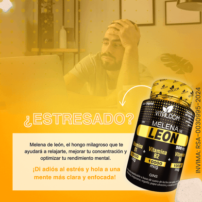 🦁 Vitalcom – Melena de León con Vitaminas B1, B2 y B6