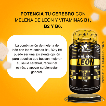 🦁 Vitalcom – Melena de León con Vitaminas B1, B2 y B6